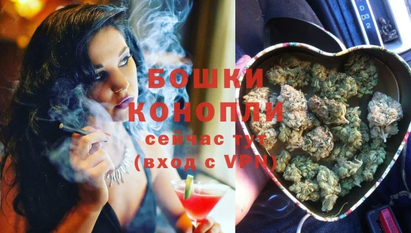 стаф Кукмор