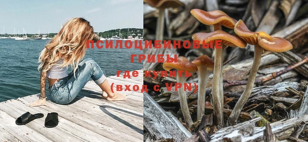 стаф Кукмор