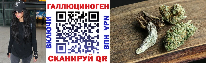 Галлюциногенные грибы Psilocybe закладка Мелеуз