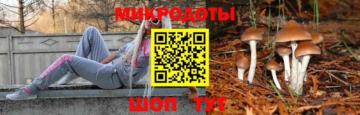 Мелеуз  Псилоцибиновые грибы мицелий  наркотики  Вход с VPN 
